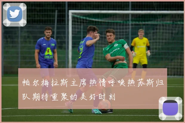 帕尔梅拉斯主席热情呼唤热苏斯归队期待重聚的美好时刻